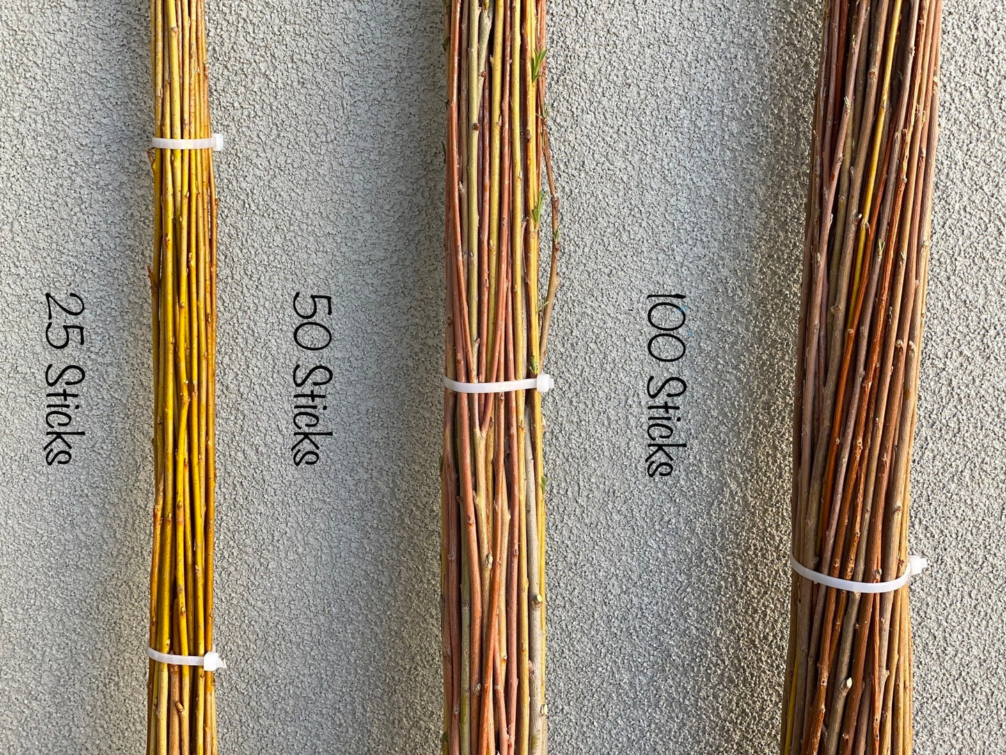3ft–6ft Willow Branches: Freshly Harvested & Naturally Dried for Basket Weaving and Floral Design