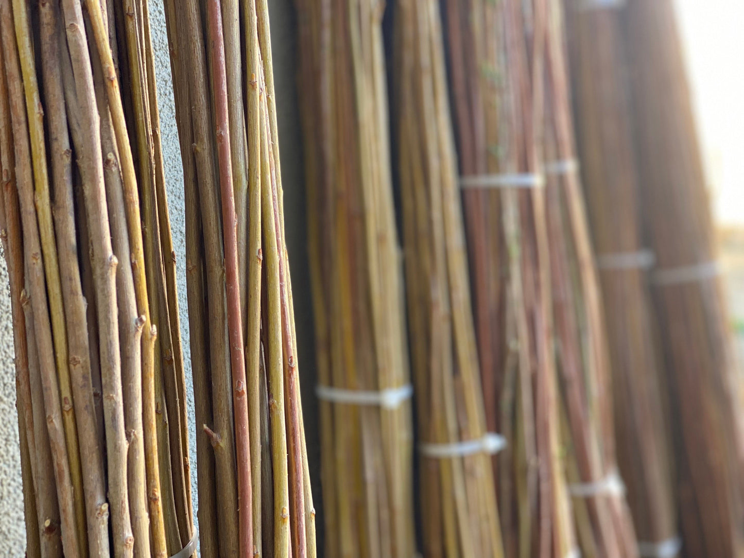 3ft–6ft Willow Branches: Freshly Harvested & Naturally Dried for Basket Weaving and Floral Design
