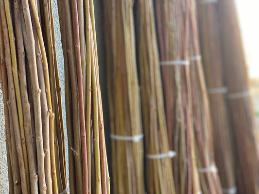 3ft–6ft Willow Branches: Freshly Harvested & Naturally Dried for Basket Weaving and Floral Design