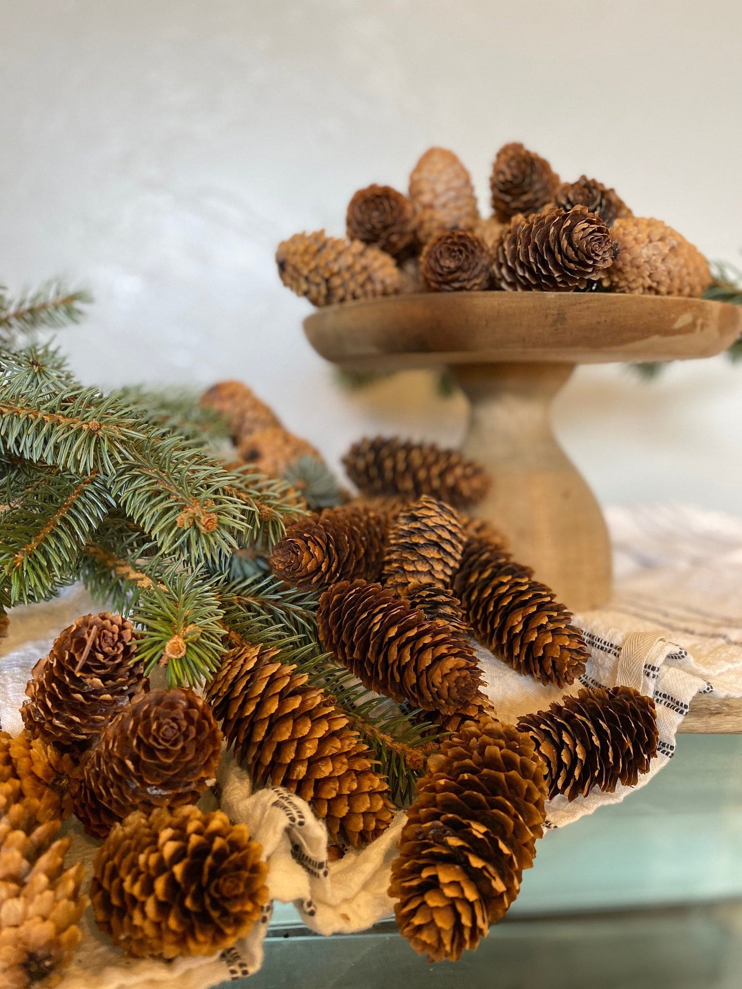 Colorado Blue Spruce Cones: Natural Pinecone Décor - 10oz Bulk Bundle
