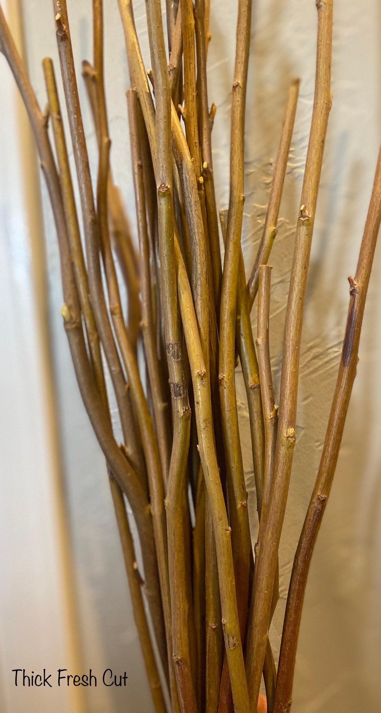 3ft–6ft Willow Branches: Freshly Harvested & Naturally Dried for Basket Weaving and Floral Design