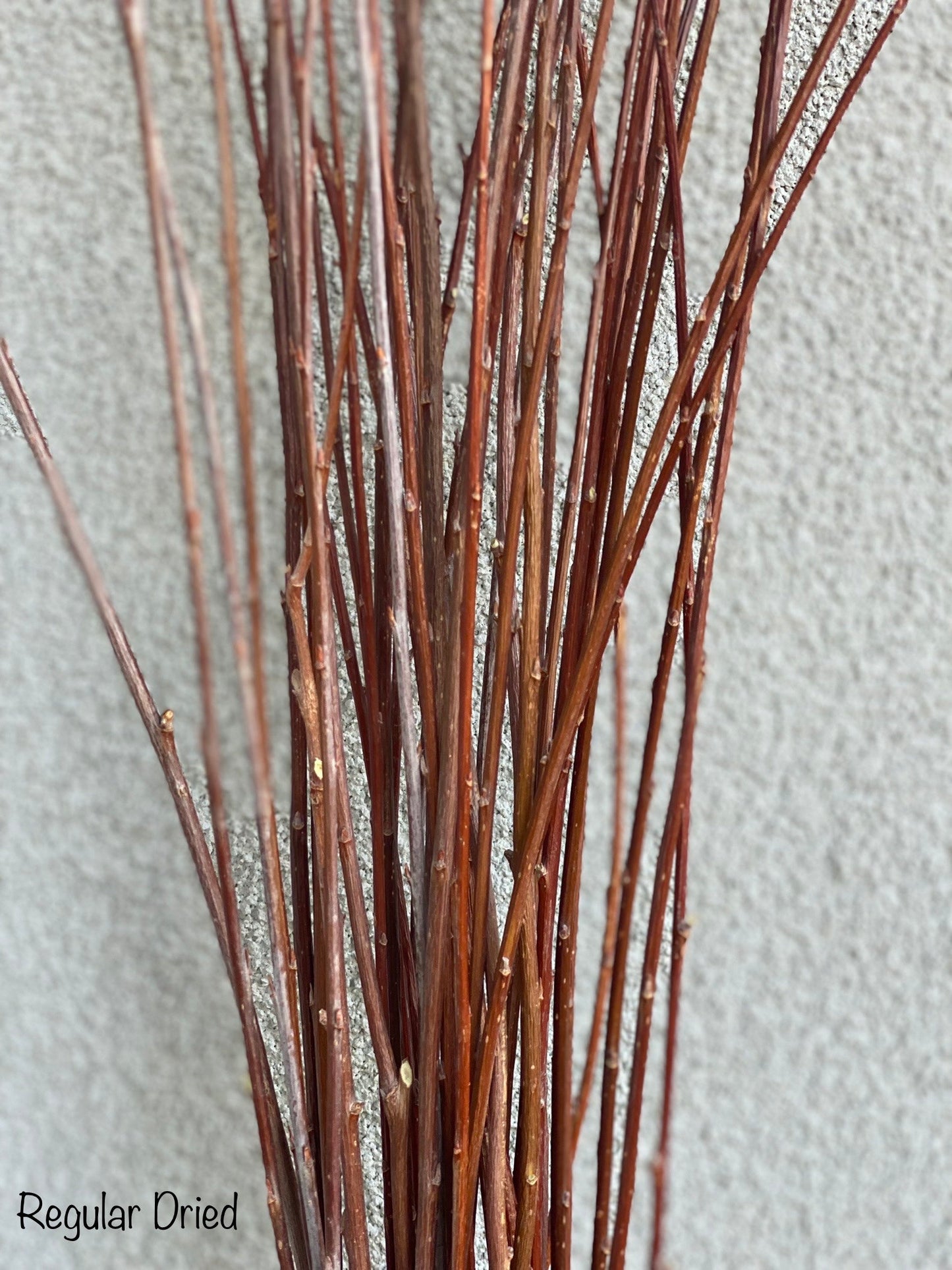 3ft–6ft Willow Branches: Freshly Harvested & Naturally Dried for Basket Weaving and Floral Design