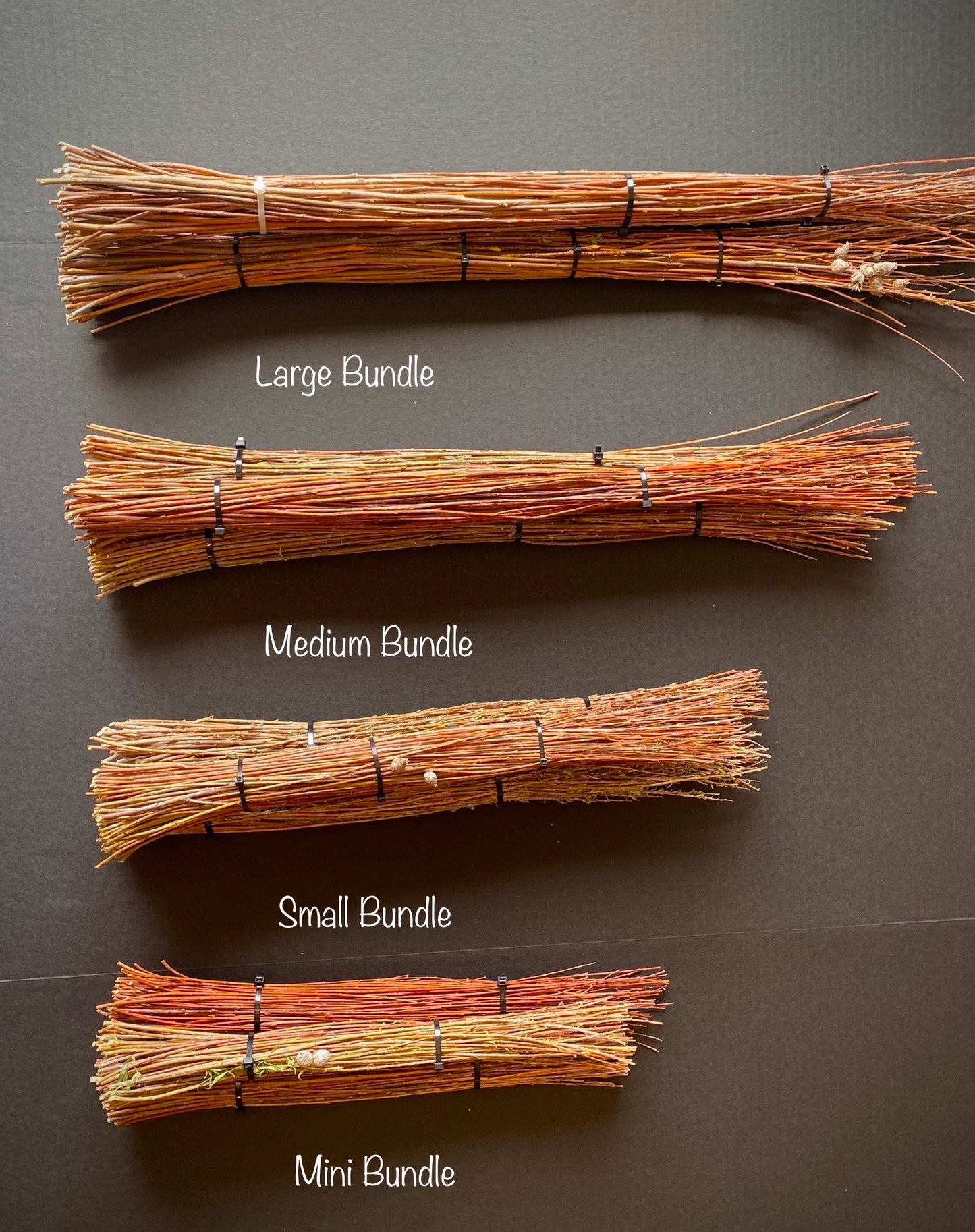 Dried Willow Tip Bundles — Natural Stems for Wreaths, Baskets & Crafts