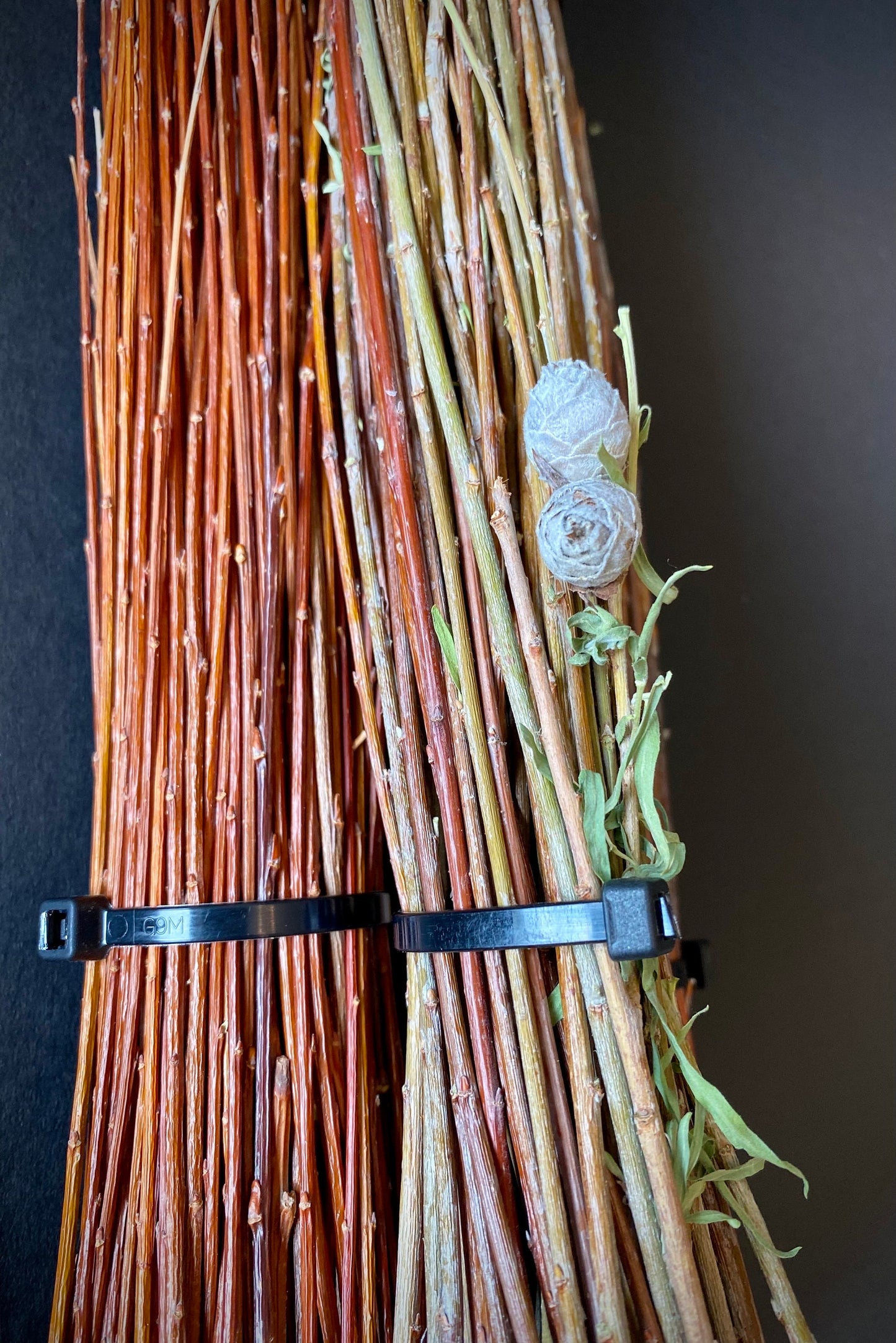 Dried Willow Tip Bundles — Natural Stems for Wreaths, Baskets & Crafts