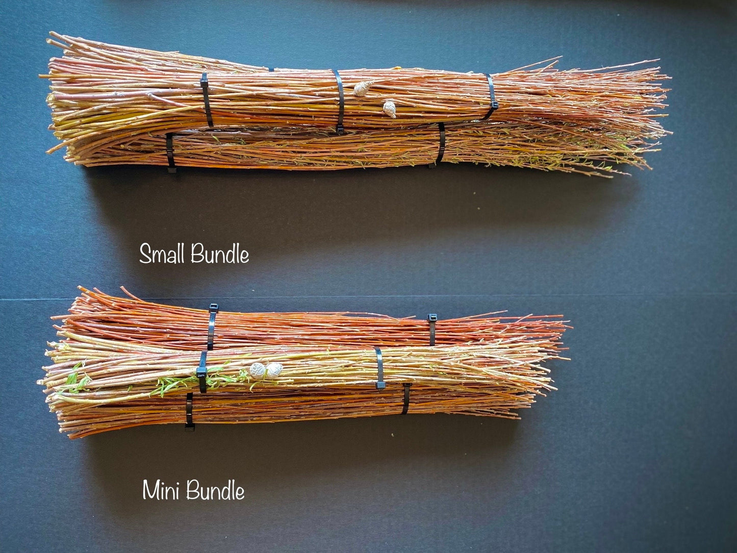 Dried Willow Tip Bundles — Natural Stems for Wreaths, Baskets & Crafts
