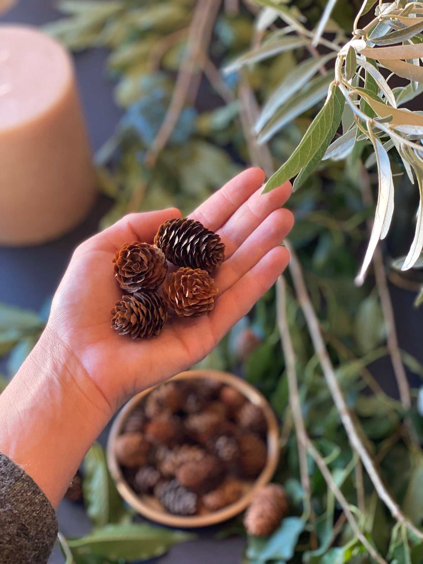 Tiny Eastern Hemlock Pinecones: DIY Rustic Woodland Decor