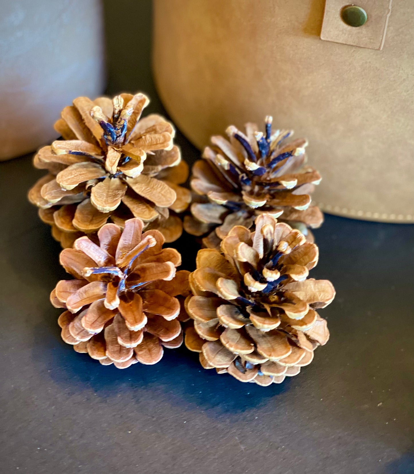 Large Red Pine Cones: Natural Rustic Christmas Ornaments, DIY Craft (1 Pound)