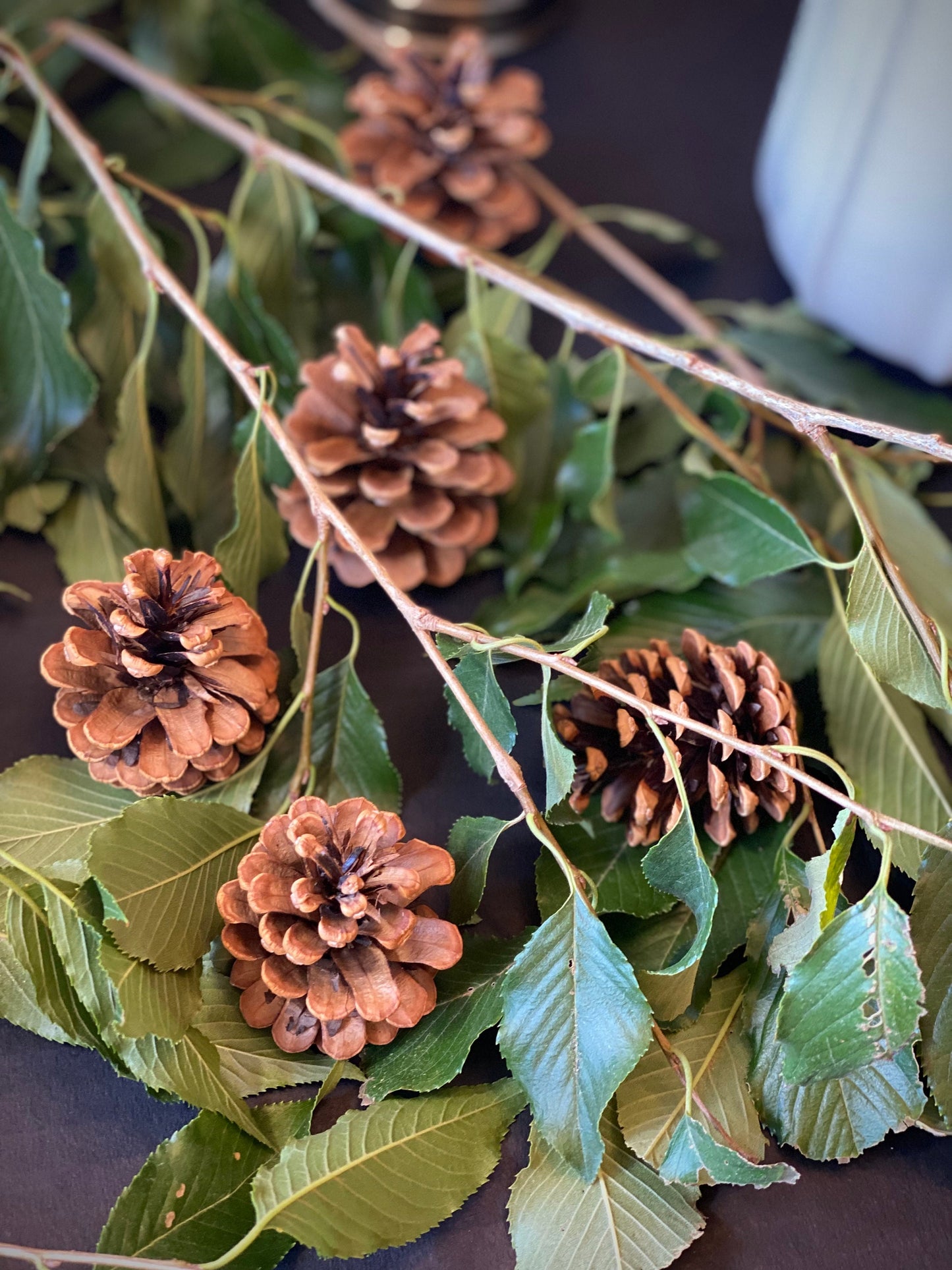 Naturally Dried Red Pine Cones: Rustic Holiday & Wedding Decor