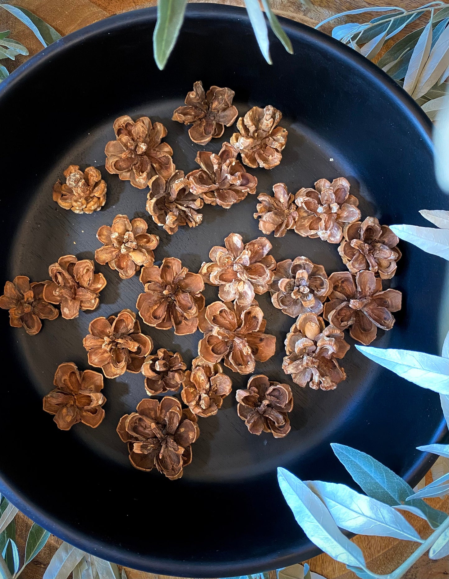 Pinyon Pinecones: Natural Fall & Holiday Decor, Woodland Wedding Supply