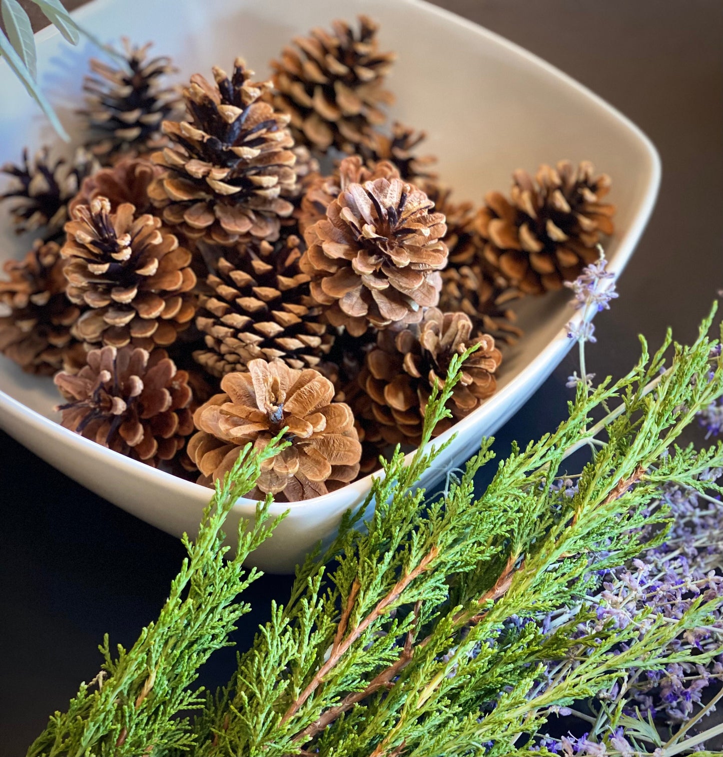 Large Red Pine Cones: Natural Rustic Christmas Ornaments, DIY Craft (1 Pound)