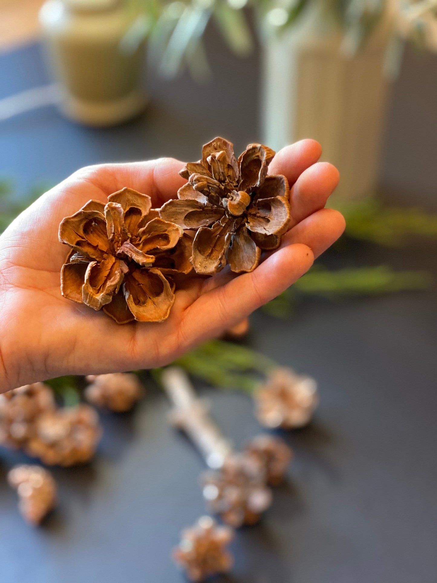 Pinyon Pinecones: Natural Fall & Holiday Decor, Woodland Wedding Supply