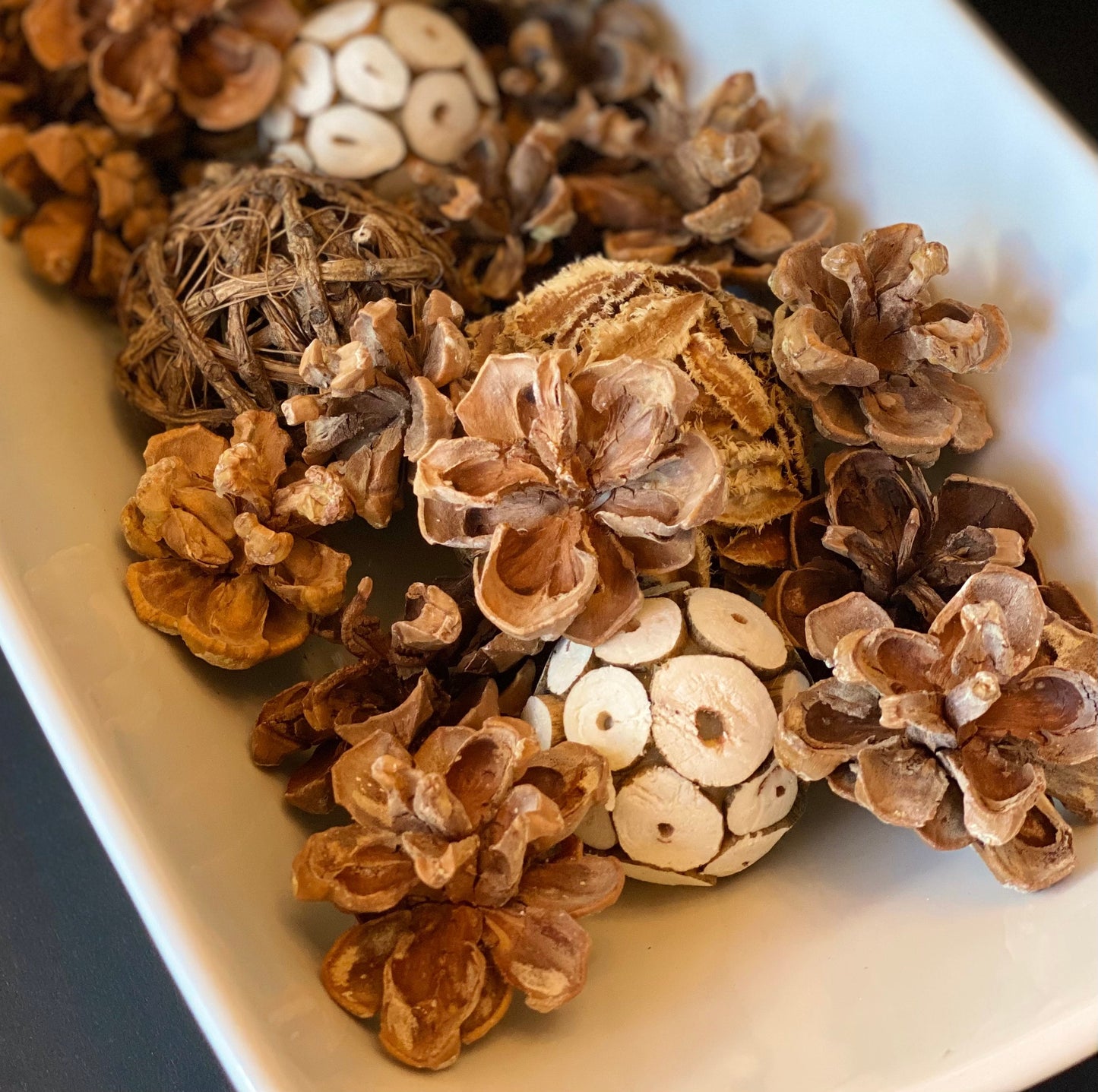 Pinyon Pinecones: Natural Fall & Holiday Decor, Woodland Wedding Supply
