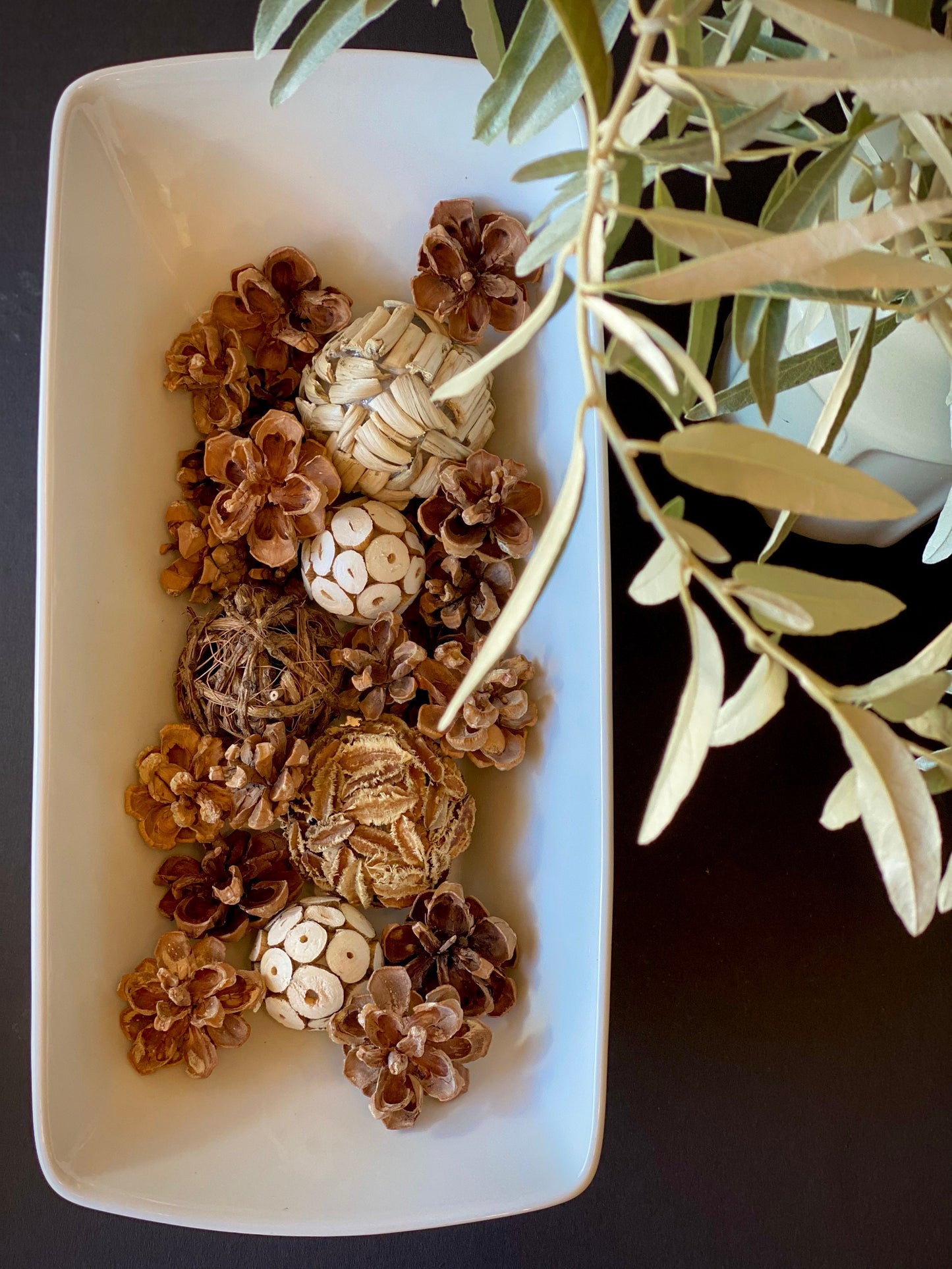 Pinyon Pinecones: Natural Fall & Holiday Decor, Woodland Wedding Supply