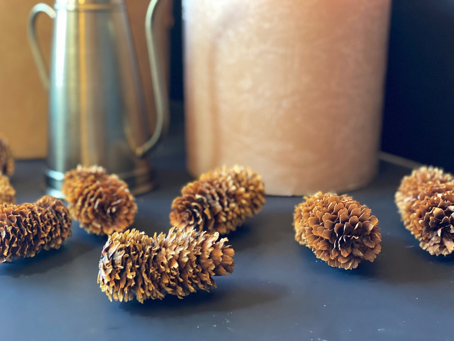 Colorado Blue Spruce Cones: Natural Pinecone Décor - 10oz Bulk Bundle
