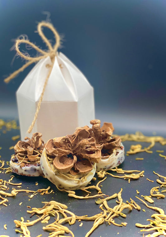 Handmade Pinyon Fire Starter with Cinnamon, Eco Friendly Camping Gift