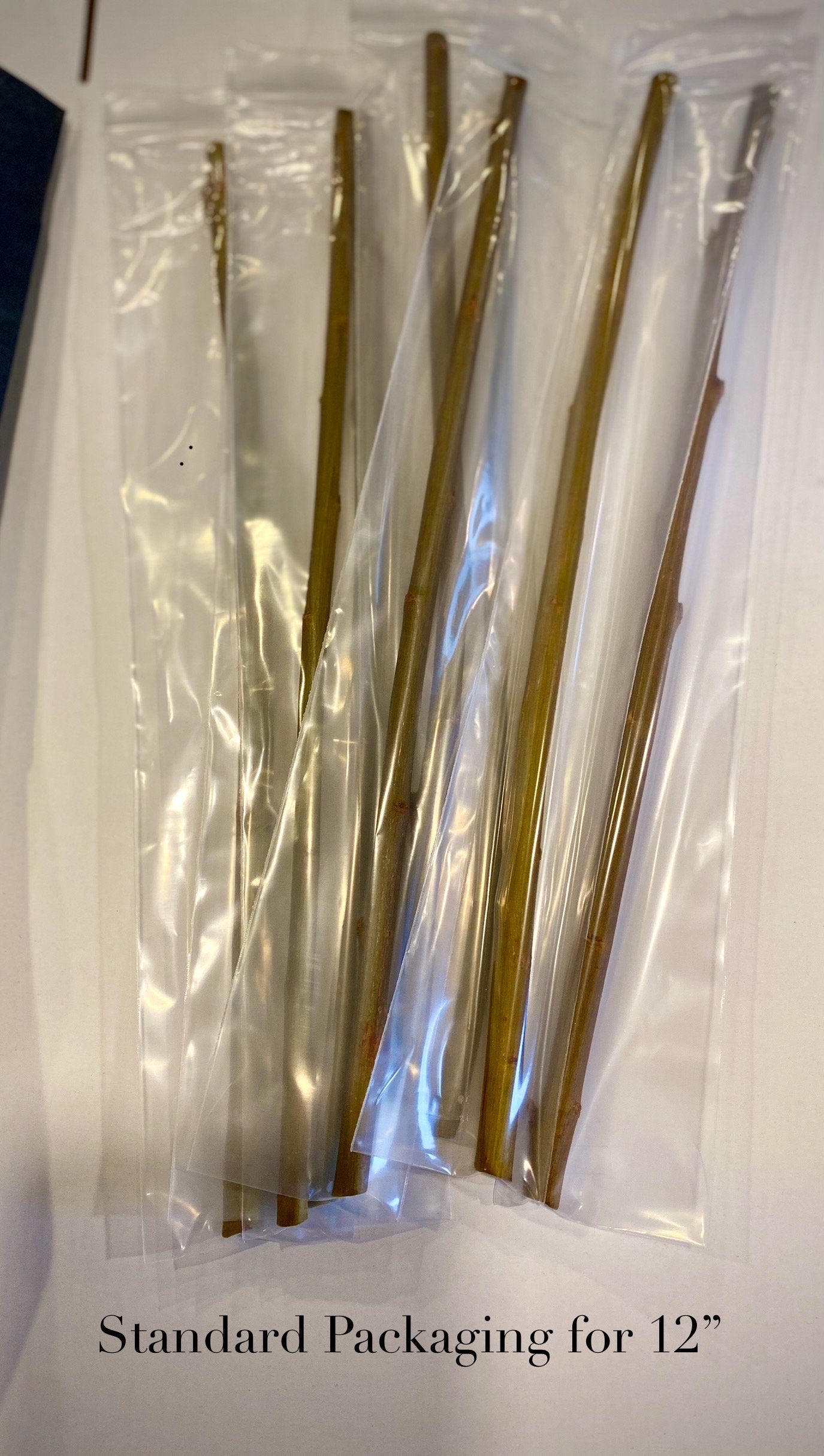 Coyote Willow Cuttings — Salix exigua 12" Unrooted for Propagation & Landscaping